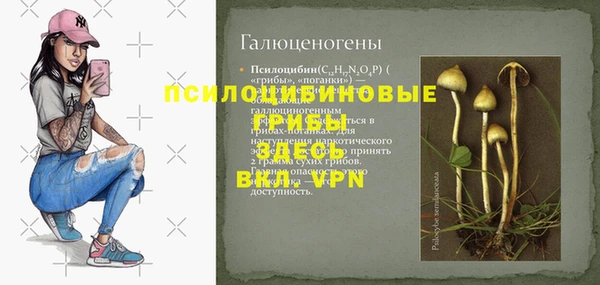 каннабис Арсеньев