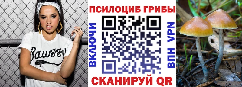 это наркотические препараты  hydra онион  Новоаннинский  Галлюциногенные грибы Psilocybe 