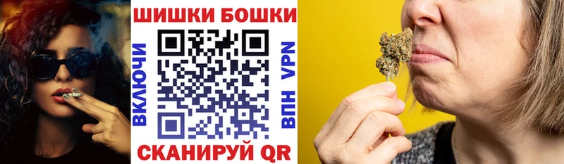 где купить   Новоаннинский  Каннабис ГИДРОПОН 
